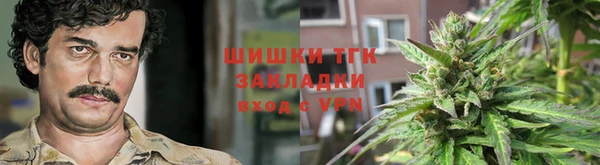стафф Коряжма