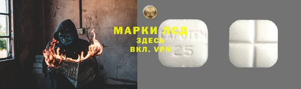 стафф Коряжма