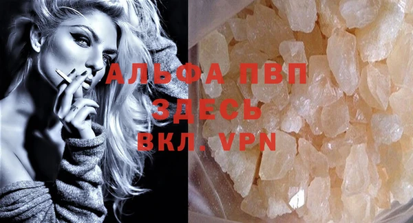 стафф Коряжма