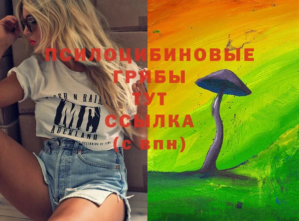 стафф Коряжма
