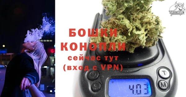 стафф Коряжма