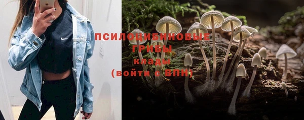 стафф Коряжма