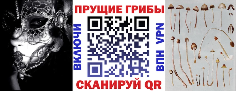 Купить закладки  Кирсанов  Псилоцибиновые грибы GOLDEN TEACHER 